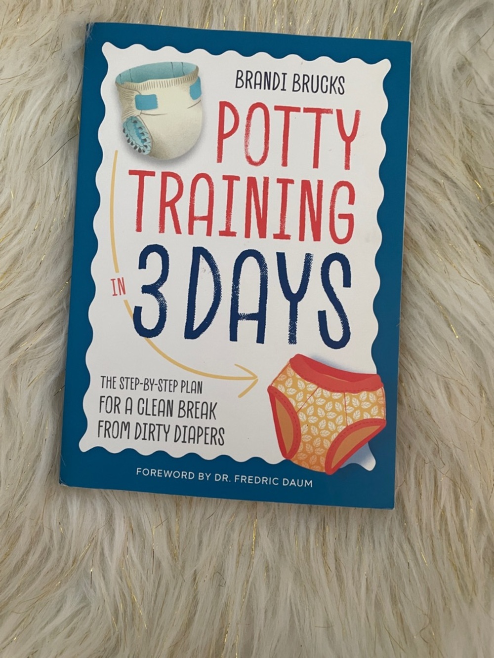 Brandi Brucks Potty Training in 3 Days - Blue & White Cover